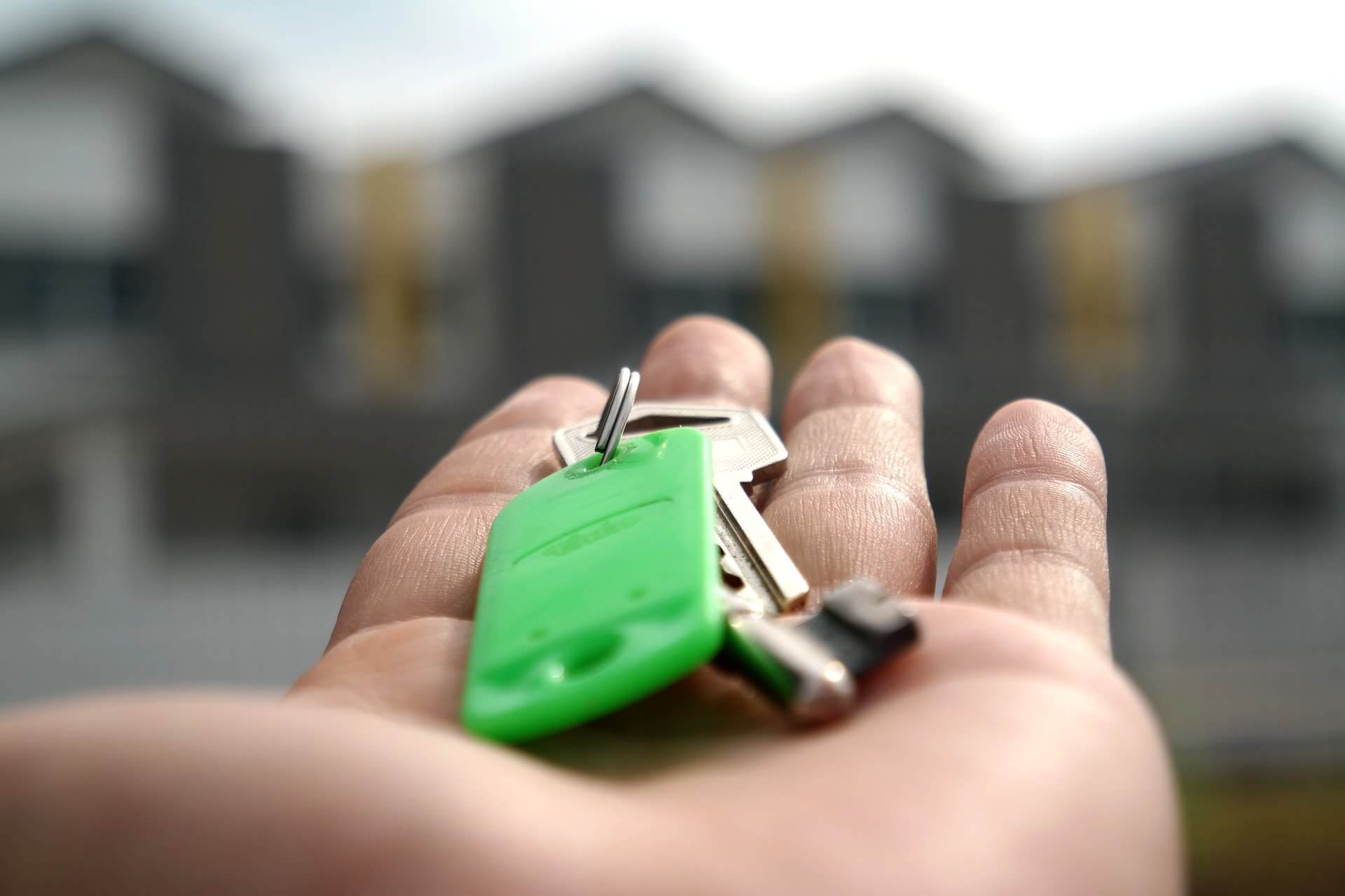afbeelding-wonen-artikel