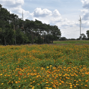 Goede samenwerking, juist vanwege de verschillen