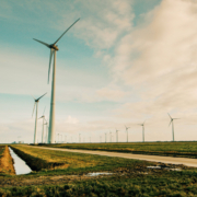 Windpark ZeBra